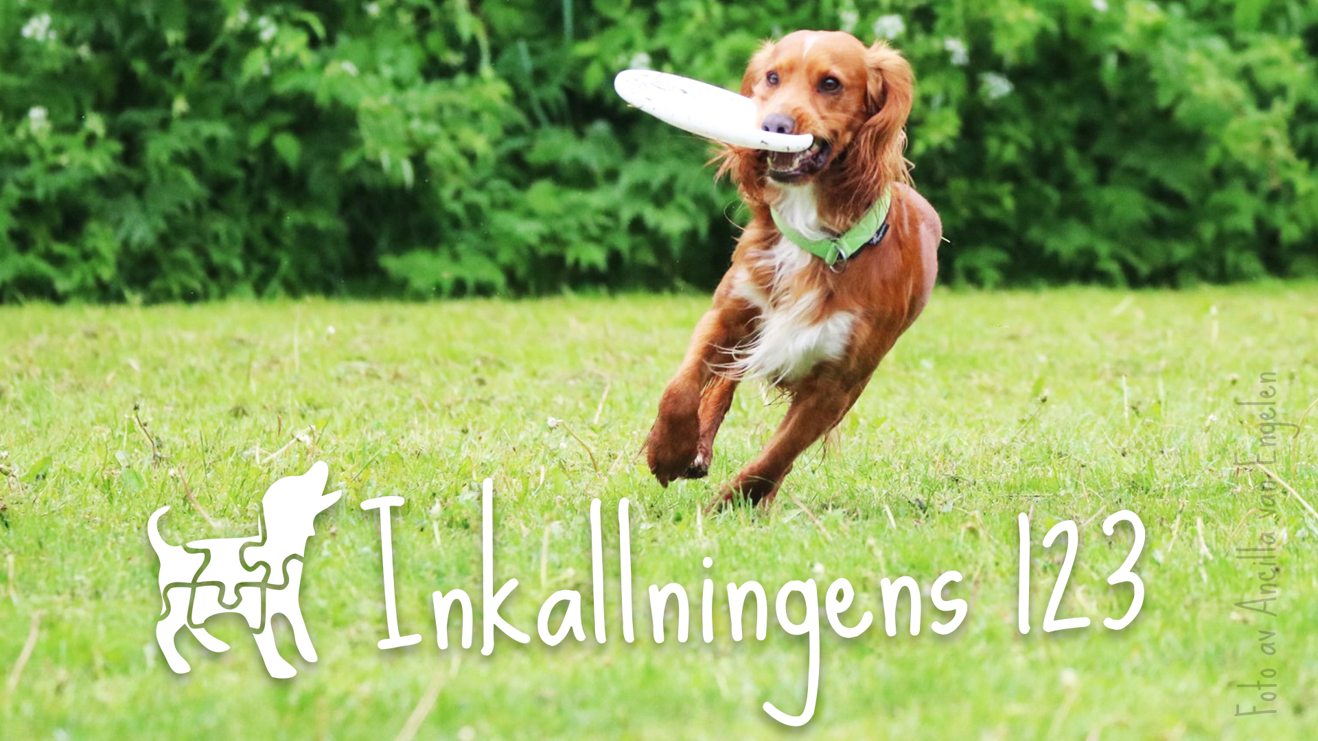 Inkallningens 123